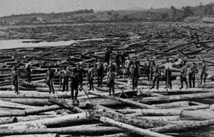 2005.45.1 Long Logs of Skowhegan Falls with observer 200 x 205 jpeg.JPG